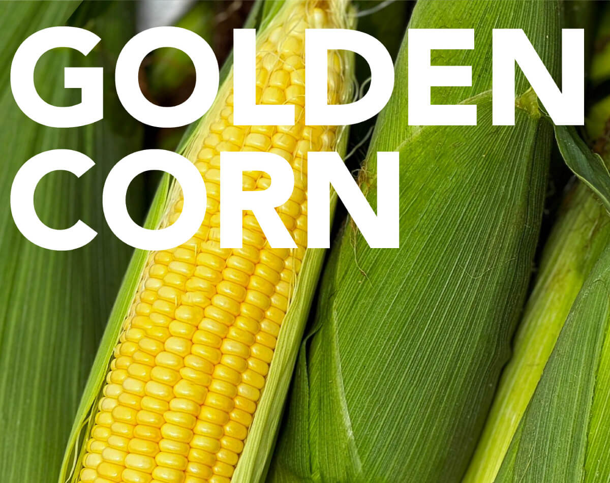 Golden Corn Marketing Sdn Bhd